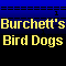 Burchett's Bird Dogs